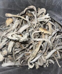 Buy Shrooms Online